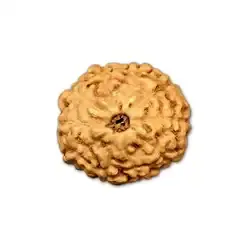 10 Mukhi