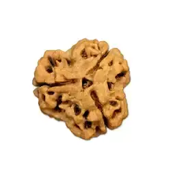 3 mukhi