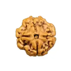 4 mukhi