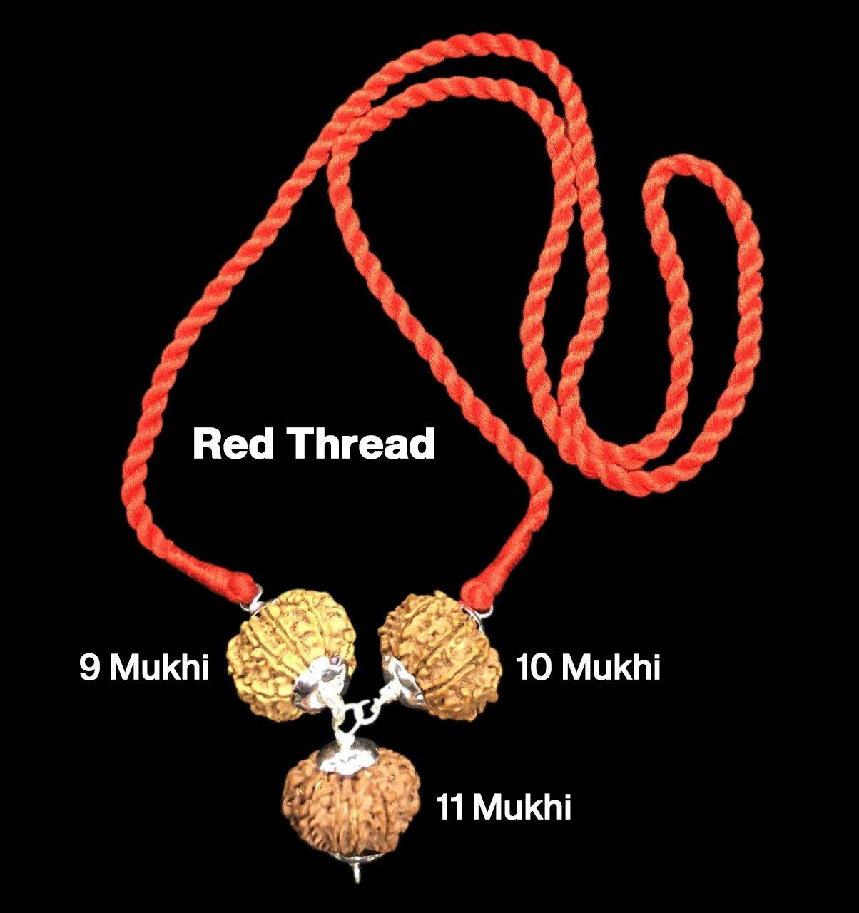 Rudraksha Combination for Total Protection 9,10,11 Mukhi Nepal in Silver Pendant