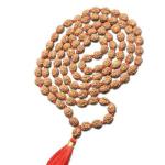 4 Mukhi Indonesian Rudraksha Mala 54 Beads (9mm-11mm)