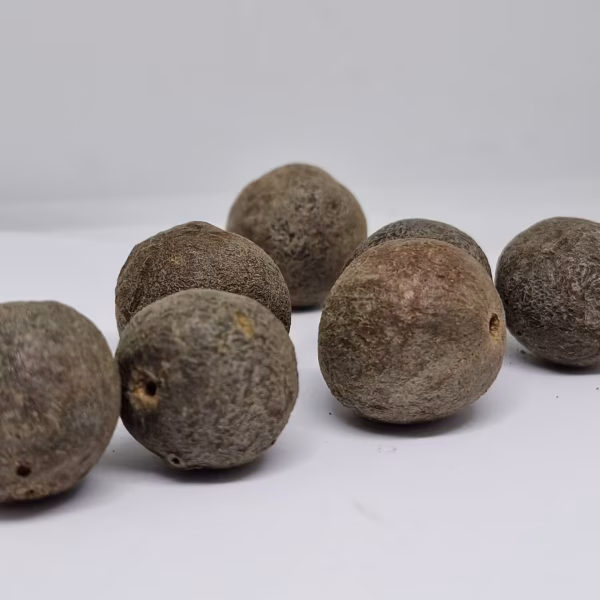 Rudraksha Fruits Nepal Natural Raw Rudraksha Fruit (Original Untreated)- Natural Brown Rudraksh (Big Size) Pack of 5 Rudraksha