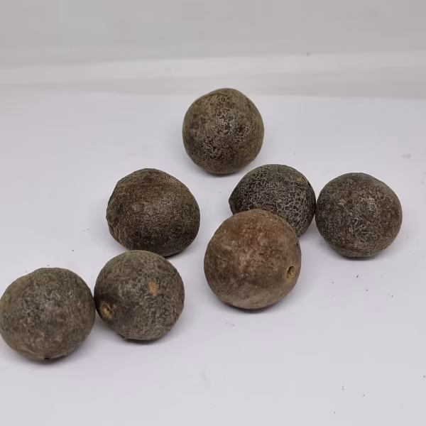 Rudraksha Fruits Nepal Natural Raw Rudraksha Fruit (Original Untreated)- Natural Brown Rudraksh (Big Size) Pack of 5 Rudraksha