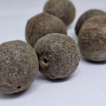 Rudraksha Fruits Nepal Natural Raw Rudraksha Fruit (Original Untreated)- Natural Brown Rudraksh (Big Size) Pack of 5 Rudraksha