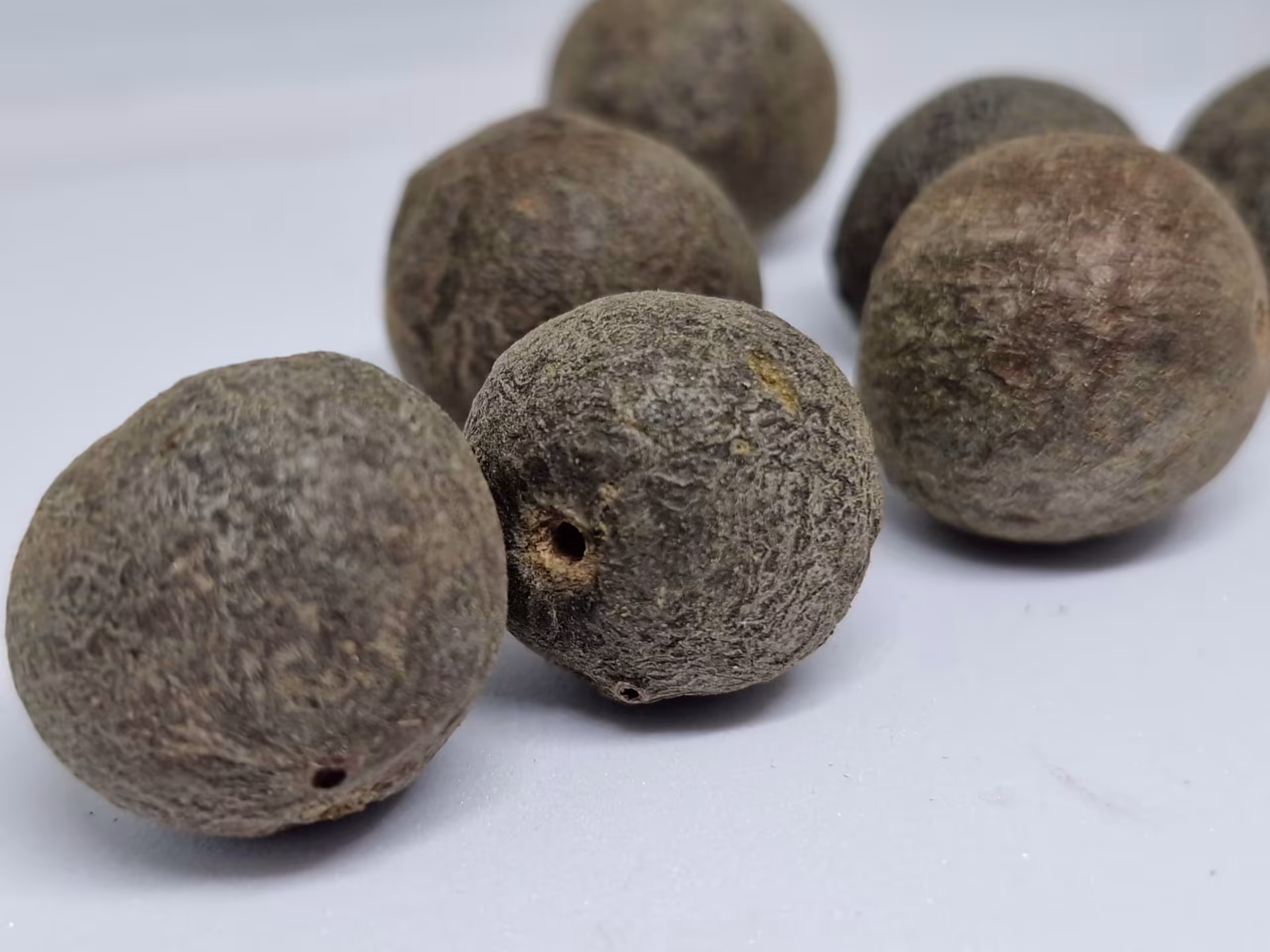 Rudraksha Fruits Nepal Natural Raw Rudraksha Fruit (Original Untreated)- Natural Brown Rudraksh (Big Size) Pack of 5 Rudraksha