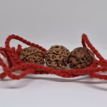 Rudraksha For mild Autism and speach delay