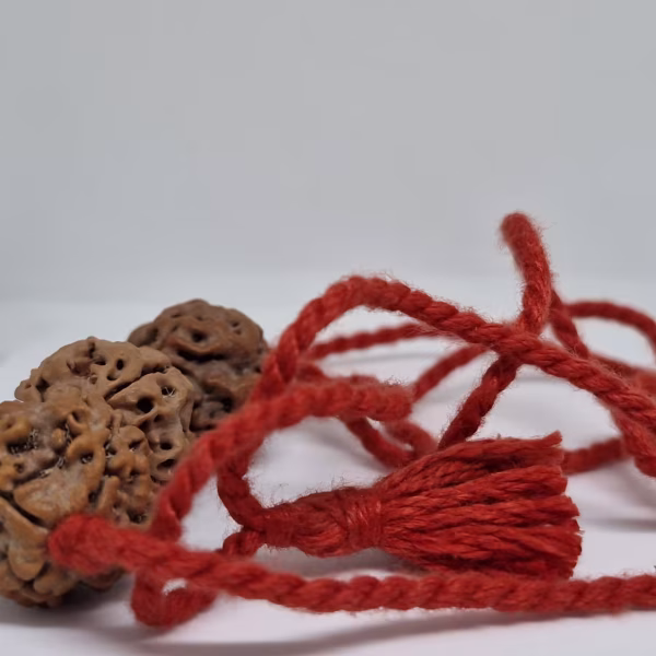 Rudraksha For mild Autism and speach delay