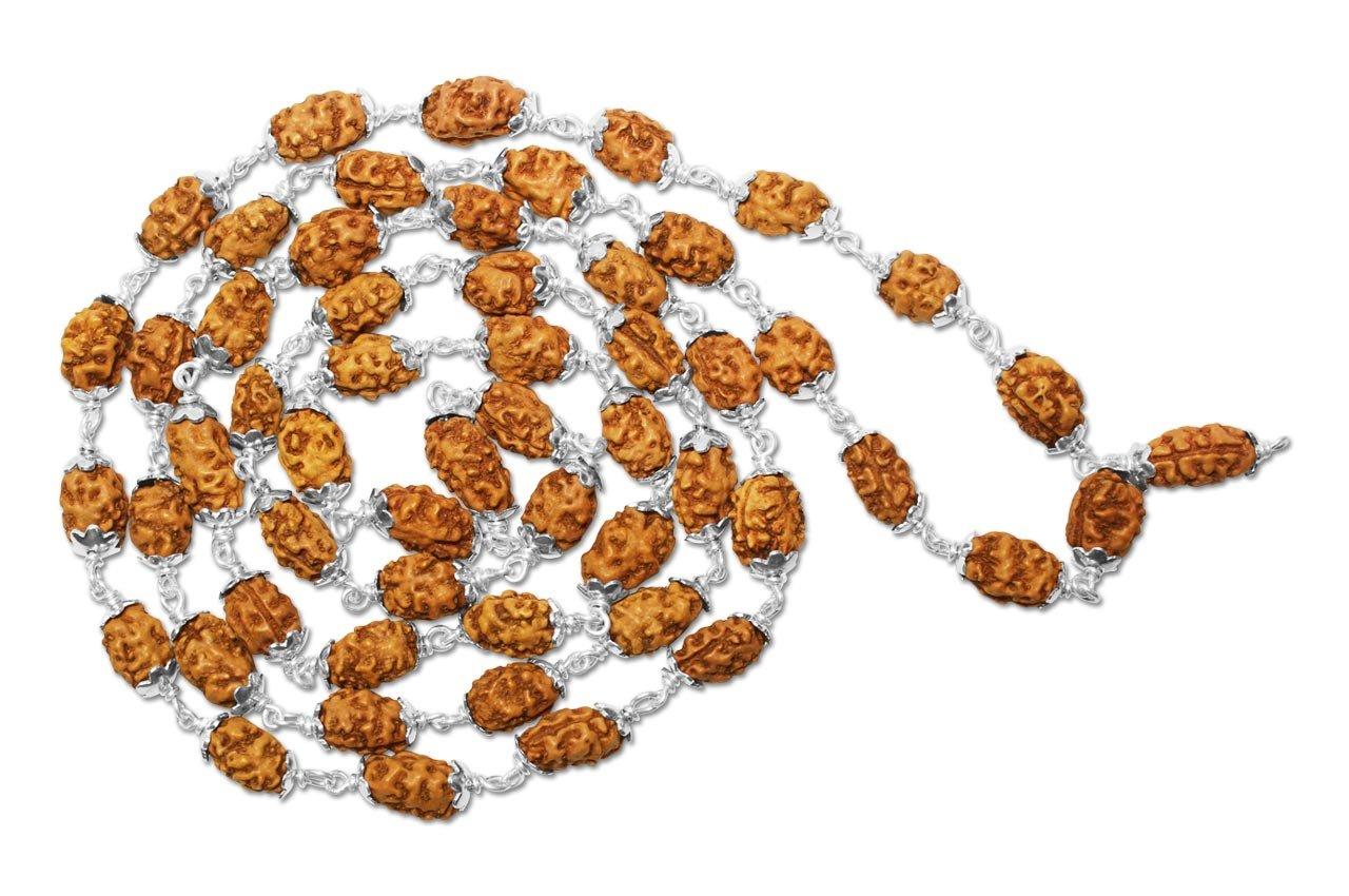 2 Mukhi Indonesian Rudraksha Mala 54 Beads In Silver (7mm-9mm)