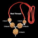 Rudraksha Combination for Health Power 3,3,5,5,5 Mukhi Nepal in Silver Pendant