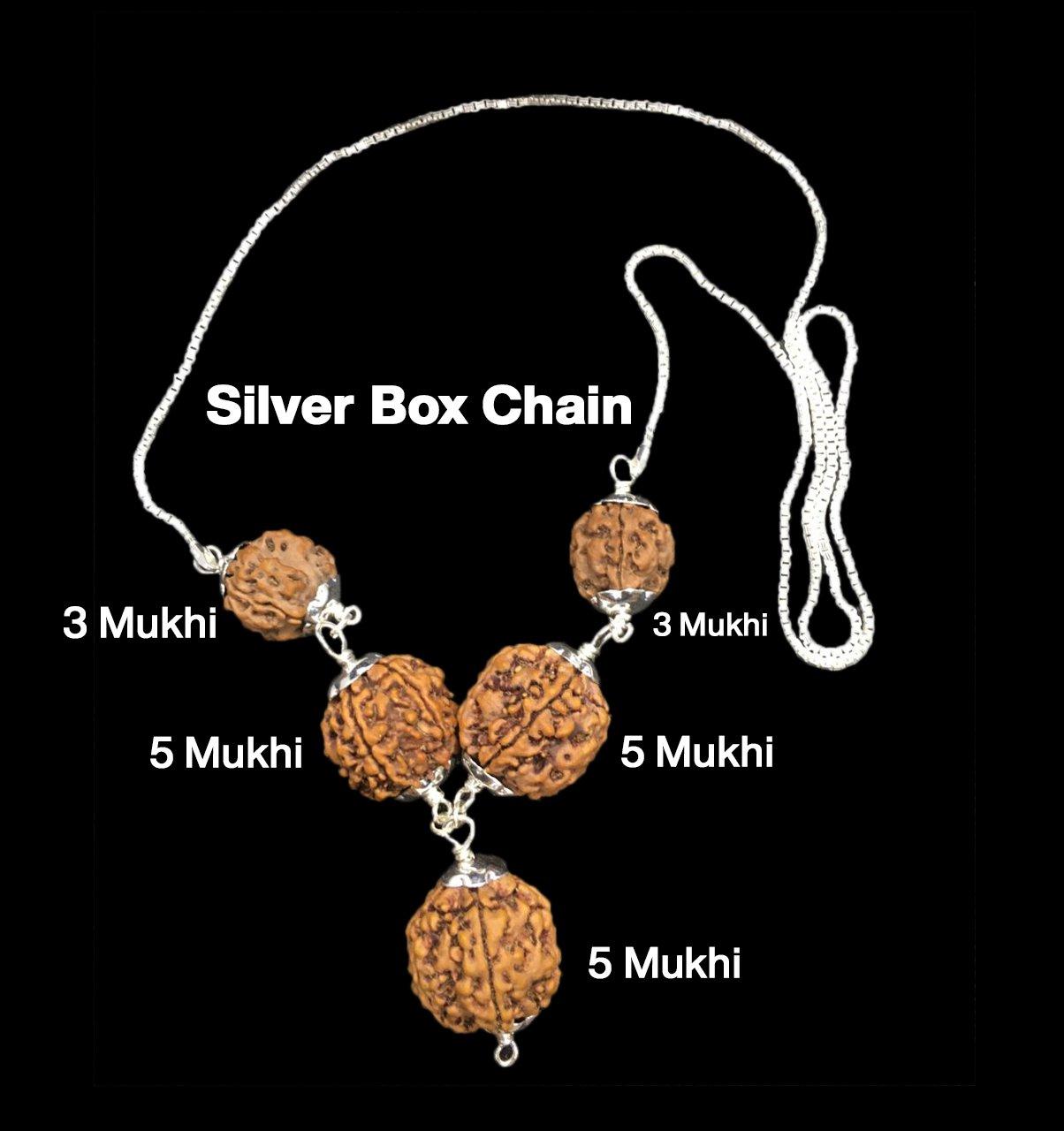 Rudraksha Combination for Health Power 3,3,5,5,5 Mukhi Nepal in Silver Chain