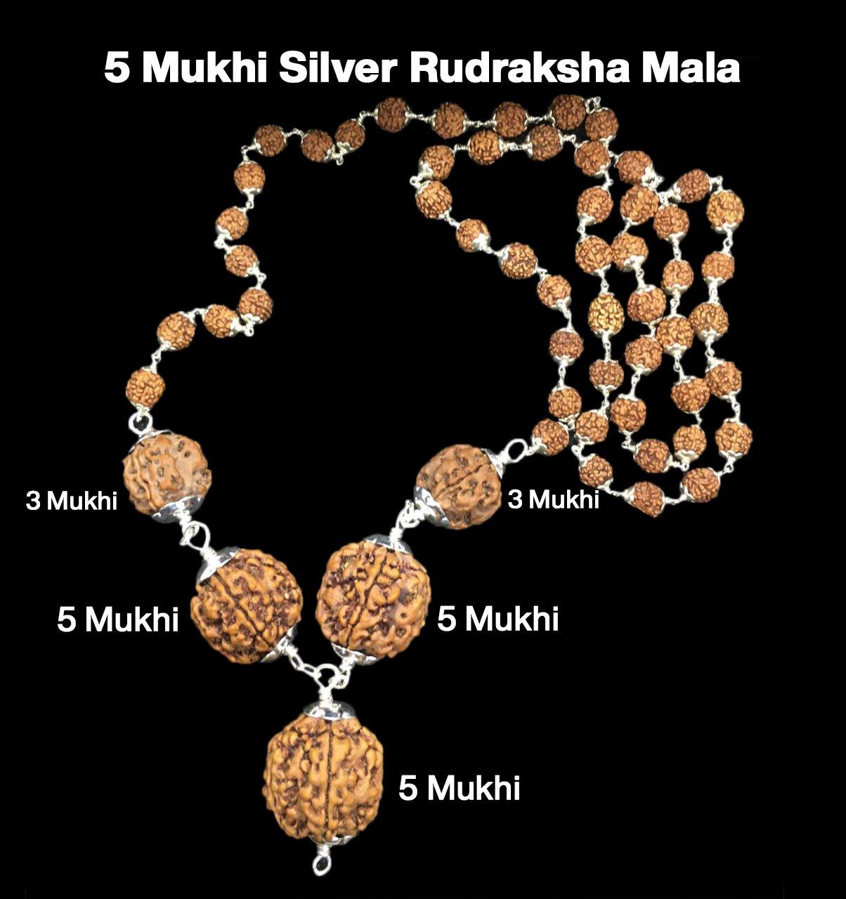 Rudraksha Combination for Health Power 3,3,5,5,5 Mukhi Nepal in Silver Mala