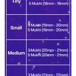 Rudraksha Combination for Health Power 3,3,5,5,5 Mukhi Nepal in Silver Mala