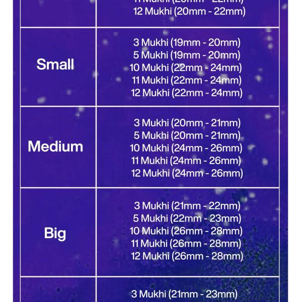 Rudraksha Combination for Navagraha Shanti 3,5,10,11,12 Mukhi Nepal in Silver Chain