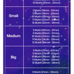 Rudraksha Combination for Navagraha Shanti 3,5,10,11,12 Mukhi Nepal in Rudraksha Mala