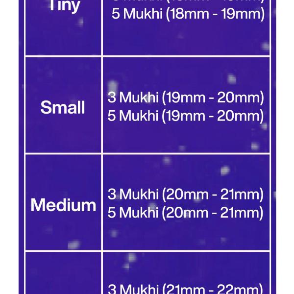 Rudraksha Combination for Health Power 3,3,5,5,5 Mukhi Nepal in Silver Chain