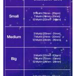 Rudraksha Combination for Career 3,7,12 Mukhi Nepal in Rudraksha Mala