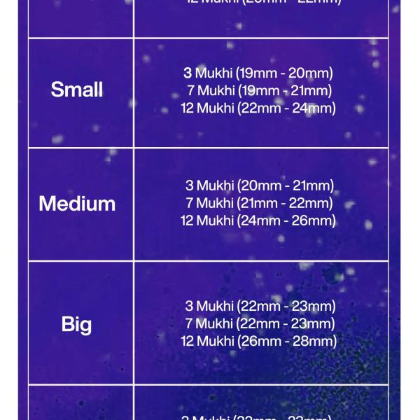Rudraksha Combination for Career 3,7,12 Mukhi Nepal in Rudraksha Mala
