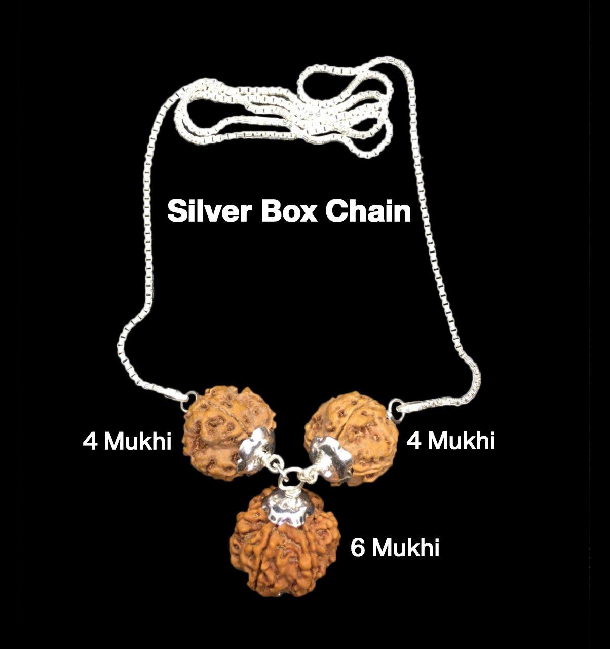 Rudraksha Combination for Students 4,4,6 Mukhi Nepal in Silver Chain