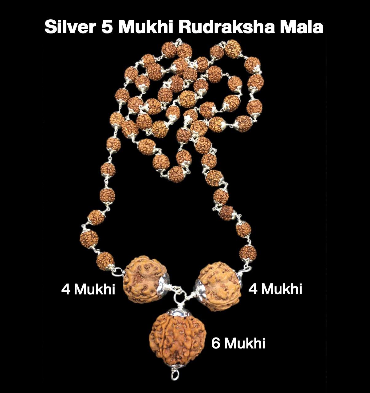 Rudraksha Combination for Students 4,4,6 Mukhi Nepal in Silver Mala