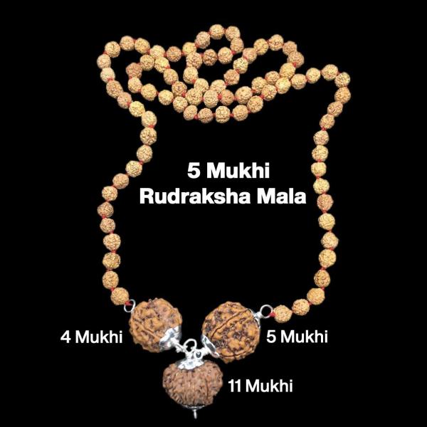Rudraksha Combination for Hanuman Power 4,5,11 Mukhi Nepal in Rudraksha Mala