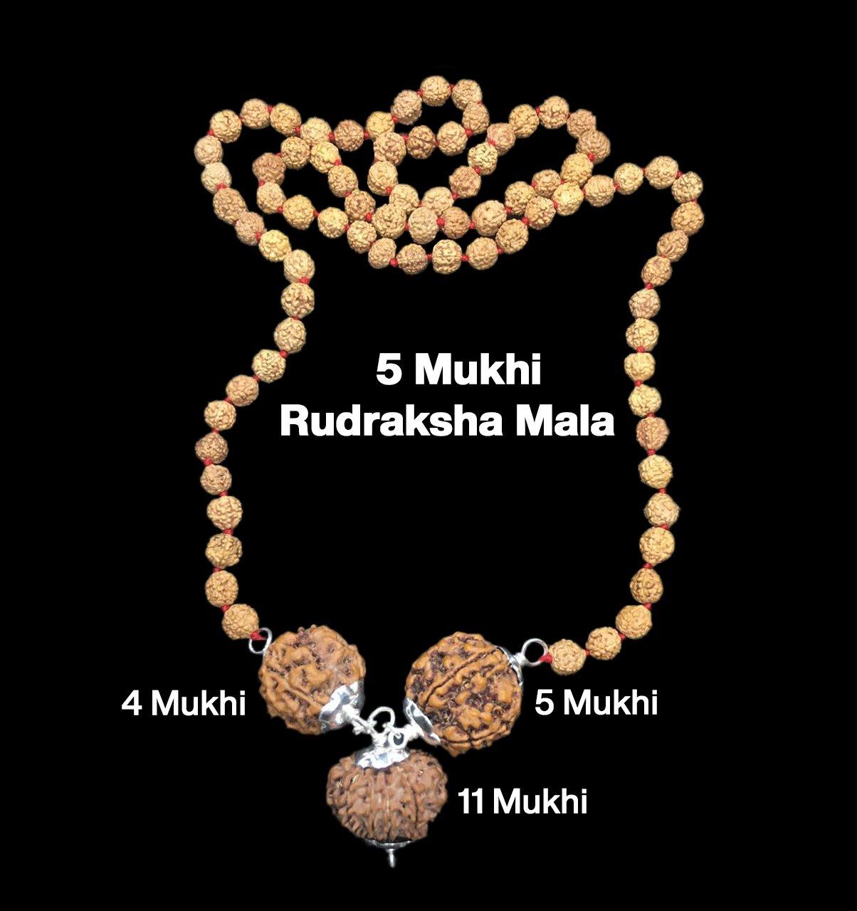 Rudraksha Combination for Hanuman Power 4,5,11 Mukhi Nepal in Rudraksha Mala