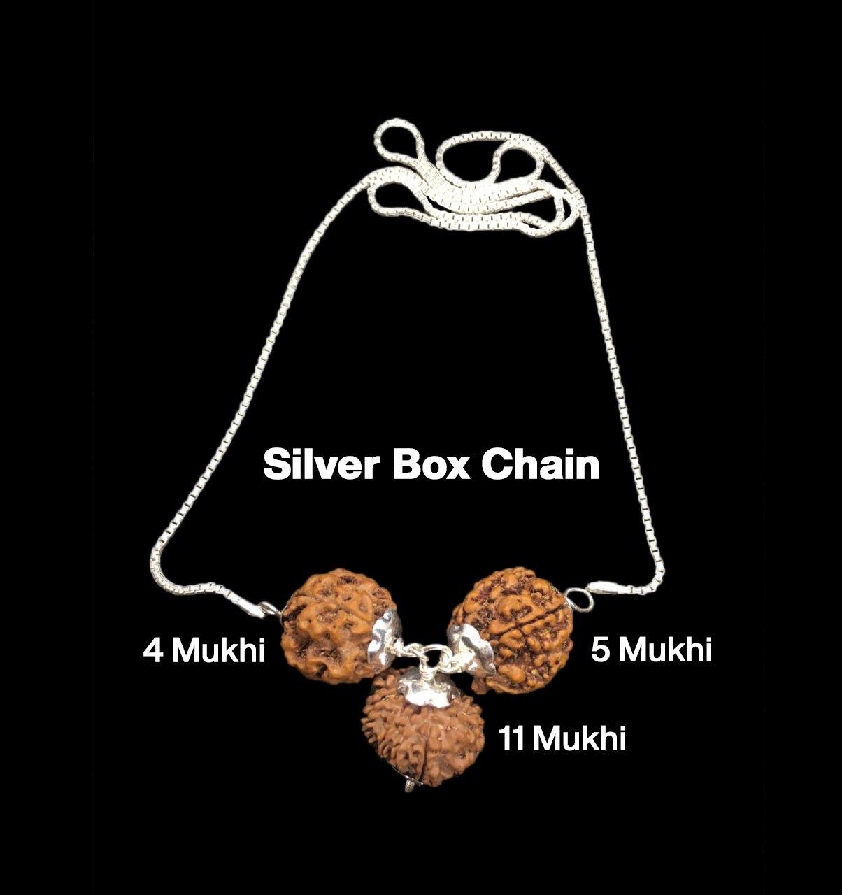 Rudraksha Combination for Wisdom 4,5,11 Mukhi Nepal in Silver Chain