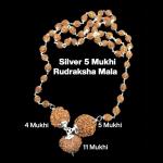 Rudraksha Combination for Wisdom 4,5,11 Mukhi Nepal in Silver Mala