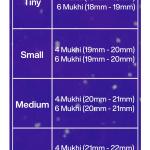 Rudraksha Combination for Students 4,4,6 Mukhi Nepal in Silver Mala