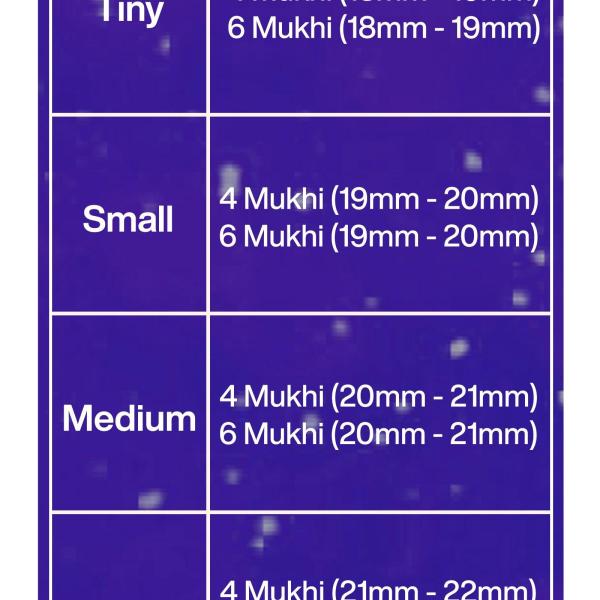 Rudraksha Combination for Students 4,4,6 Mukhi Nepal in Silver Mala