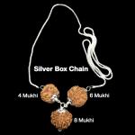 Rudraksha Combination for Creativity 4,6,8 Mukhi Nepal in Silver Chain