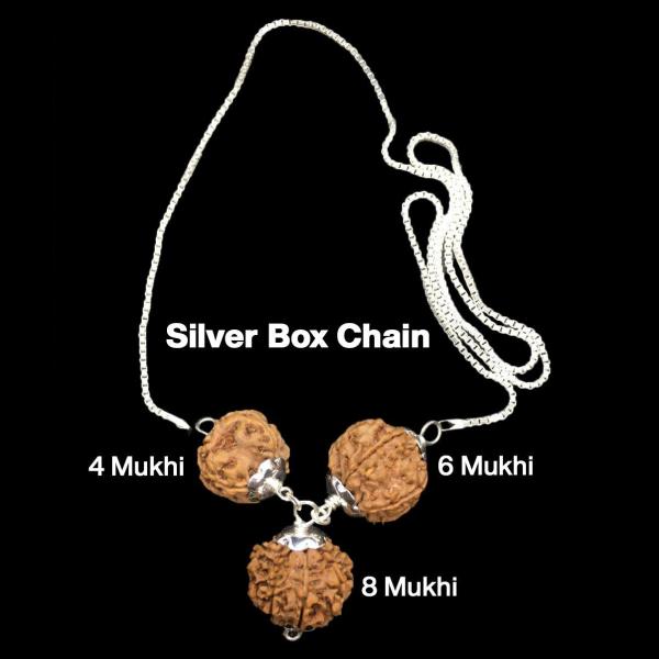 Rudraksha Combination for Creativity 4,6,8 Mukhi Nepal in Silver Chain