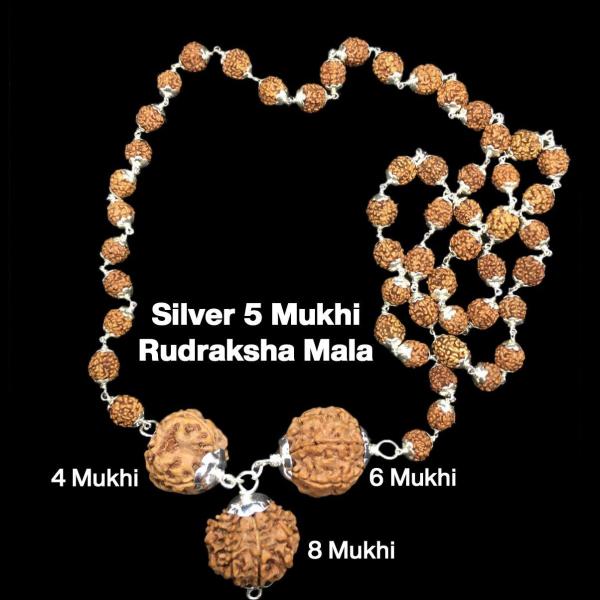 Rudraksha Combination for Advocates 4,6,8 Mukhi Nepal in Silver Mala