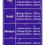 Rudraksha Combination for Doctors 4,9,12 Mukhi Nepal in Silver Chain