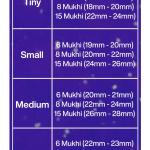 Rudraksha Combination for Business 6,8,15 Mukhi Nepal in Silver Bracelet