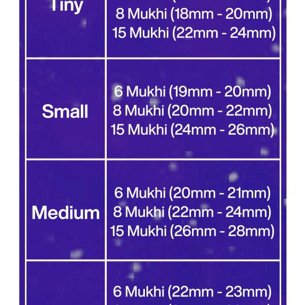 Rudraksha Combination for Business 6,8,15 Mukhi Nepal in Rudraksha Mala