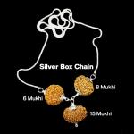 Rudraksha Combination for Business 6,8,15 Mukhi Nepal in Silver Chain