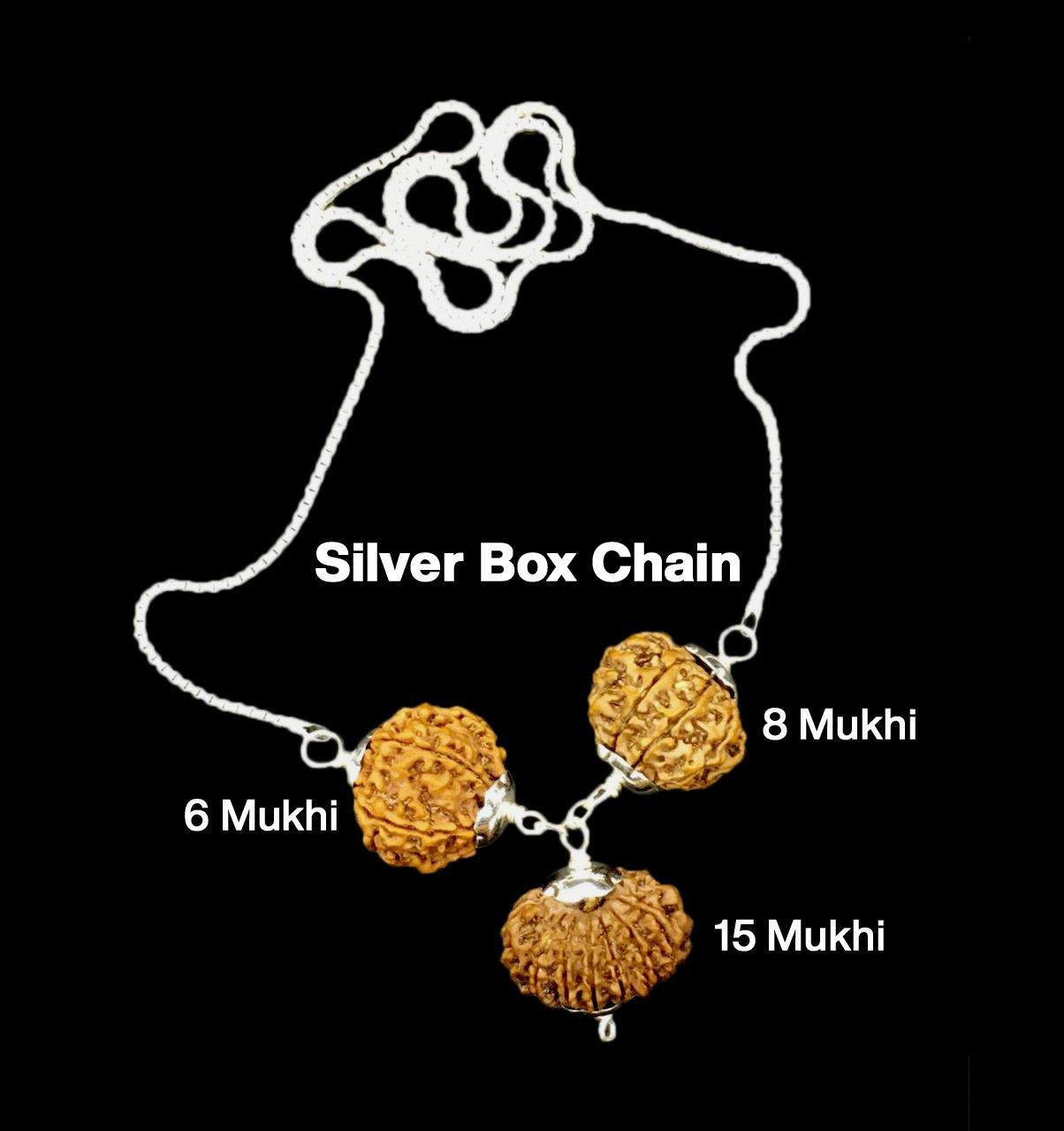 Rudraksha Combination for Business 6,8,15 Mukhi Nepal in Silver Chain