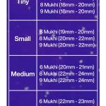 Rudraksha Combination for Females in Business 6,8,9 Mukhi Nepal in Rudraksha Mala