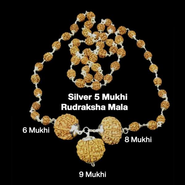 Rudraksha Combination for Females in Business 6,8,9 Mukhi Nepal in Silver Mala