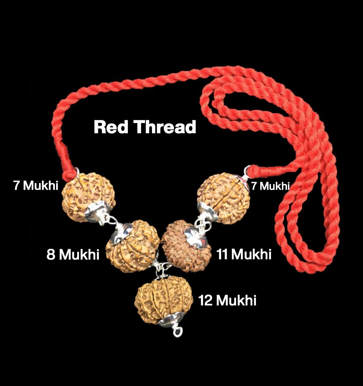 Rudraksha Combination for Business Power (Executives & Businessmen) 7,7,8,11,12 Mukhi Nepal in Silver Pendant