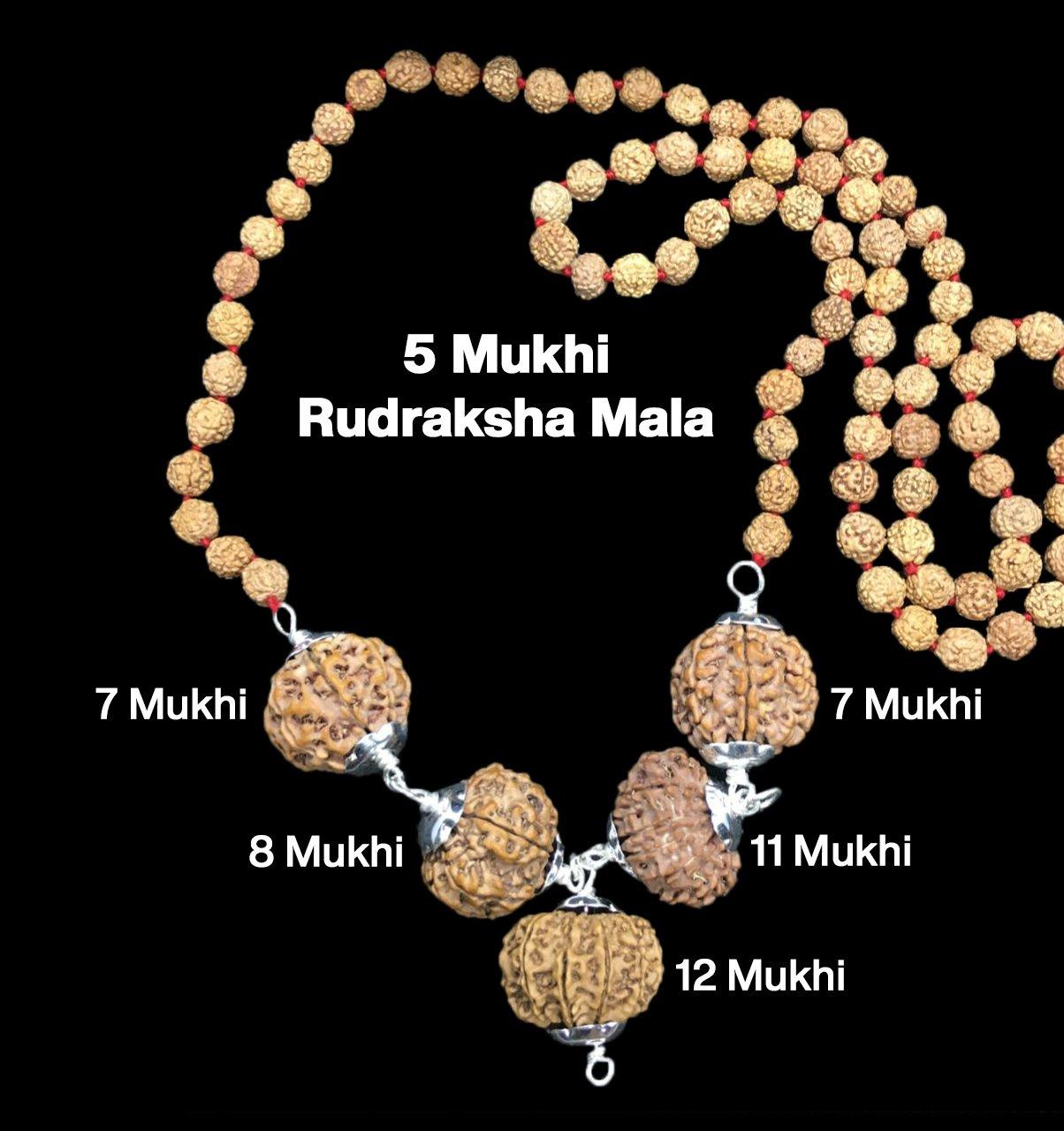 Rudraksha Combination for Business Power (Executives & Businessmen) 7,7,8,11,12 Mukhi Nepal in Rudraksha Mala