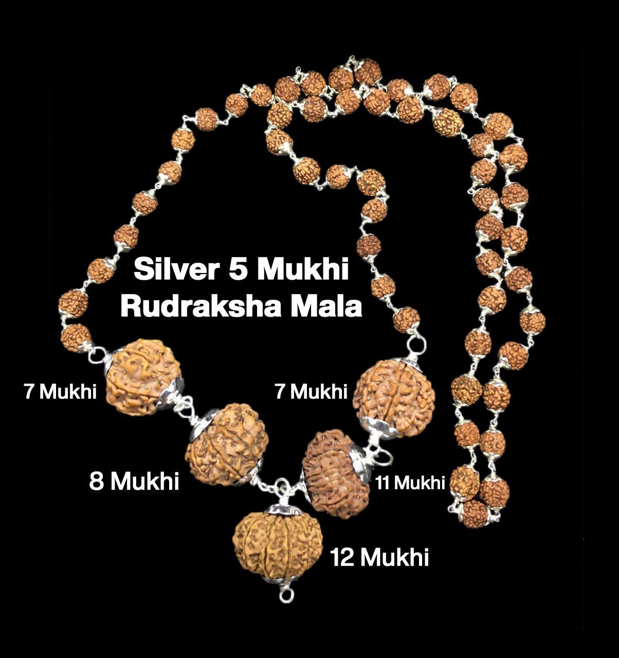 Rudraksha Combination for Business Power (Executives & Businessmen) 7,7,8,11,12 Mukhi Nepal in Silver Mala