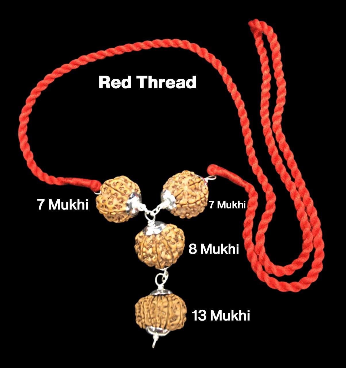 Rudraksha Combination for Business Power (Marketing & Trading) 7,7,8,13 Mukhi Nepal in Silver Pendant