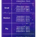 Rudraksha Combination for Business Power (Executives & Businessmen) 7,7,8,11,12 Mukhi Nepal in Silver Pendant