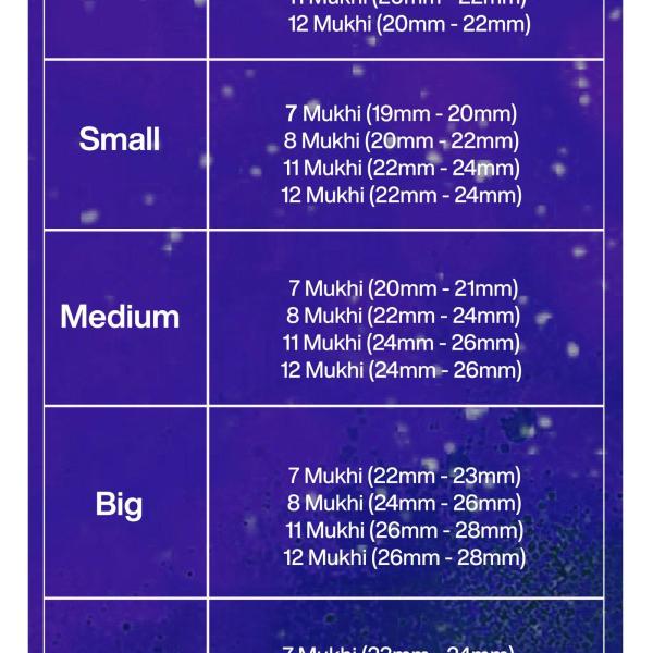 Rudraksha Combination for Business Power (Executives & Businessmen) 7,7,8,11,12 Mukhi Nepal in Silver Pendant