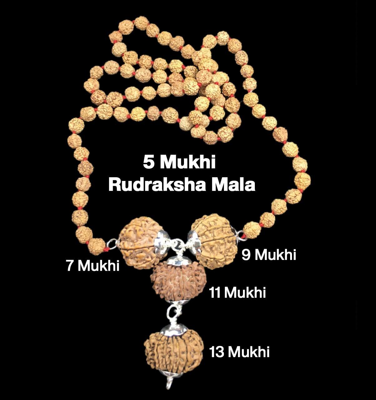 Rudraksha Combination for Wealth 7,9,11,13 Mukhi Nepal in Rudraksha Mala