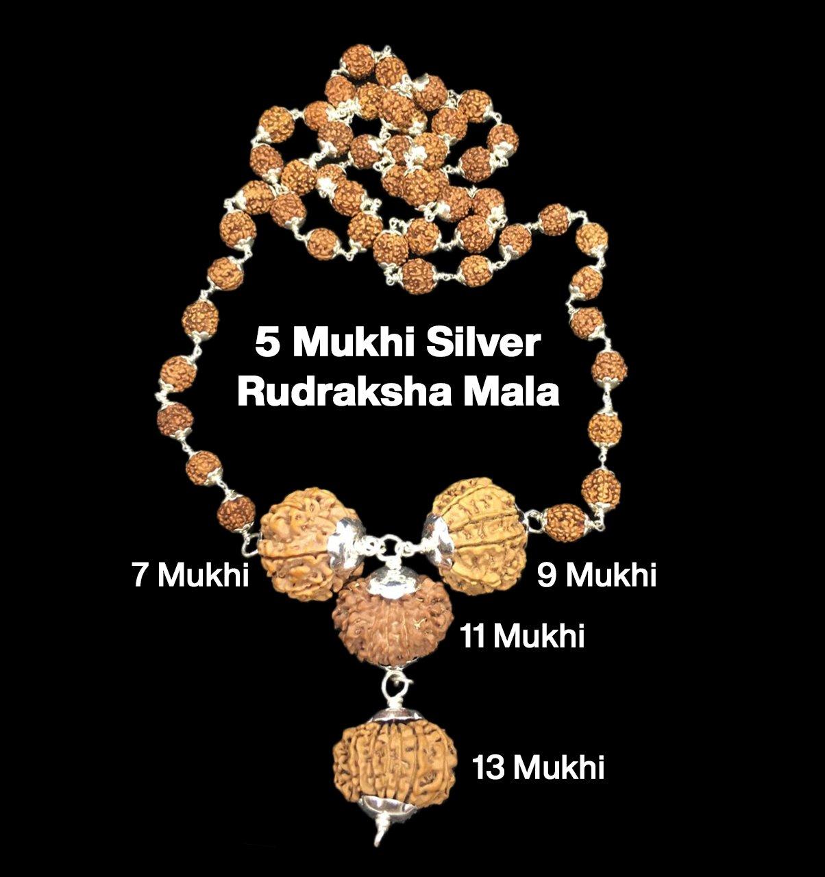 Rudraksha Combination for Wealth 7,9,11,13 Mukhi Nepal in Silver Mala