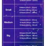 Rudraksha Combination for Protection 8,10,12 Mukhi Nepal in Silver Pendant