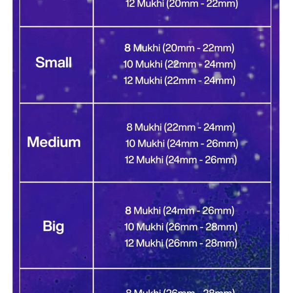 Rudraksha Combination for Protection 8,10,12 Mukhi Nepal in Silver Pendant