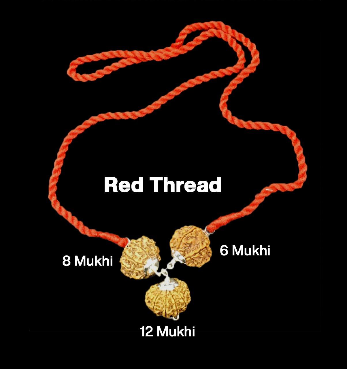 Rudraksha Combination for Business 6,8,12 Mukhi Nepal in Silver Pendant